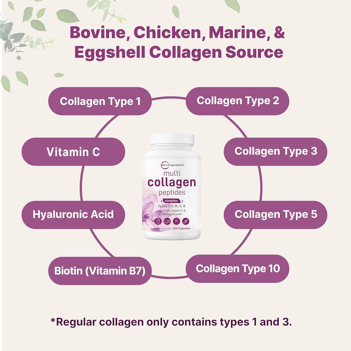 Micro Ingredients Multi Collagen 240 Capsules