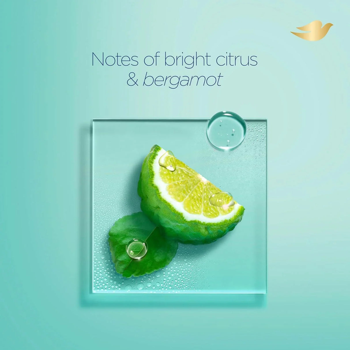 Dove Body Wash Exfoliate Away + BHA - Kenya