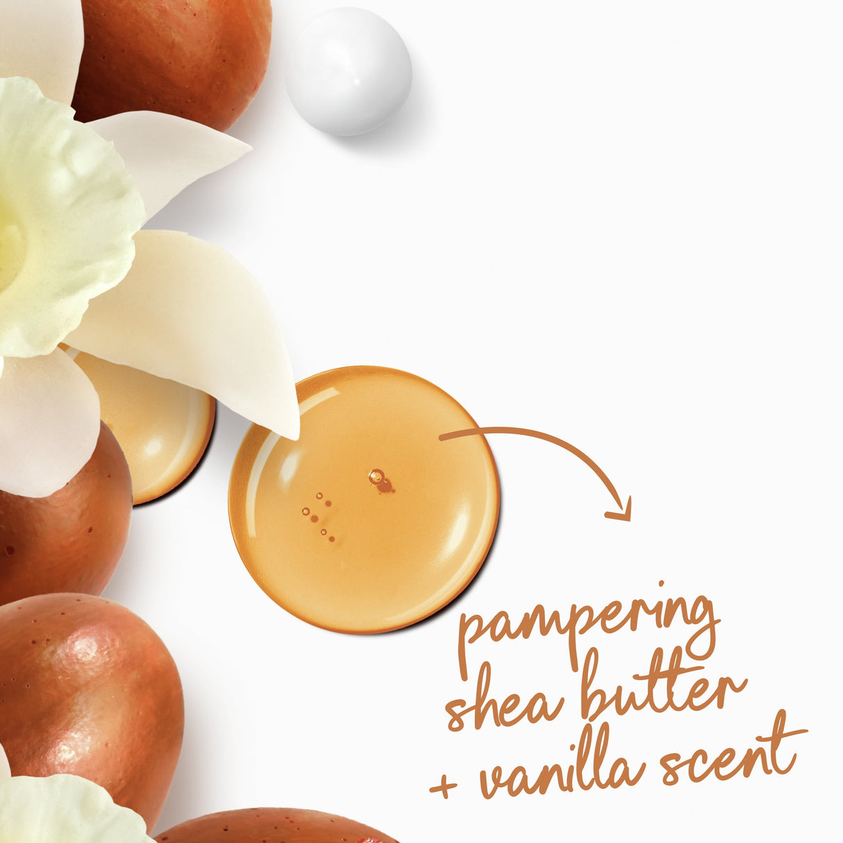 Dove Pampering Body Wash - Kenya