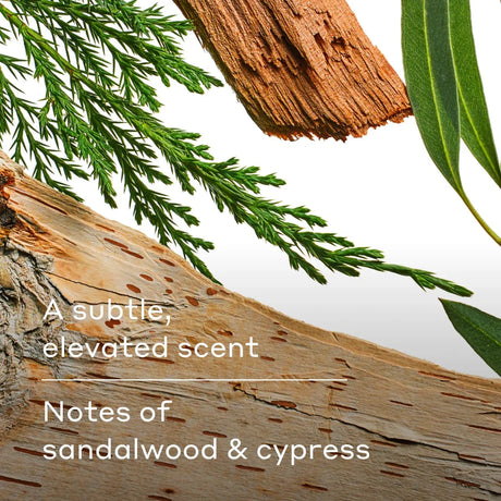 Harry's Extra-Strength Antiperspirant Wildlands - Kenya