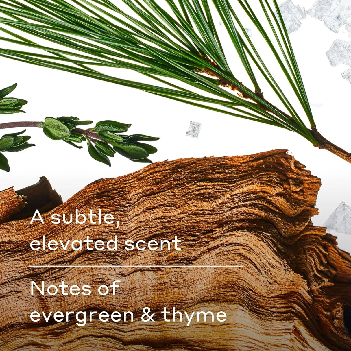 Harry's Redwood Antiperspirant Deodorant - Kenya