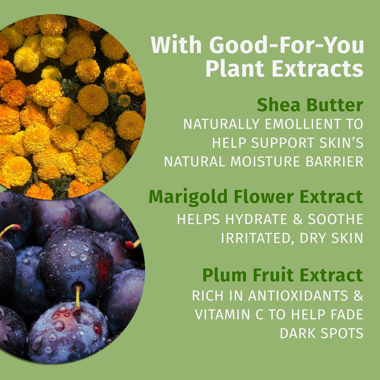 Hempz Limited Edition Vanilla Plum Body & Hand Lotion- Kenya - Kenya