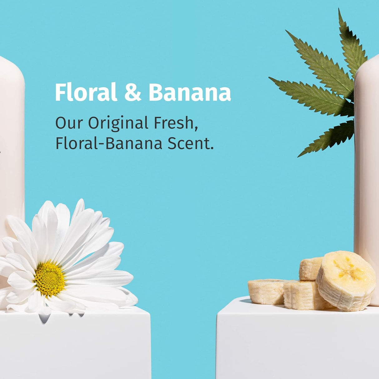 Hempz Original Natural Hemp Seed Oil Body Moisturizer- Kenya - Kenya