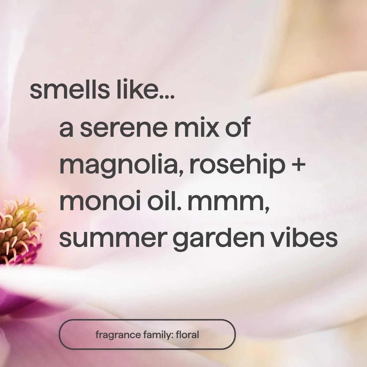 Method Body Wash Paraben and Phthalate Free - Kenya