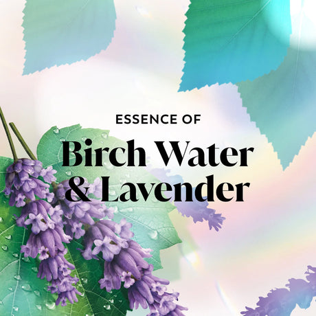 Olay Birch Water Body Wash - Kenya