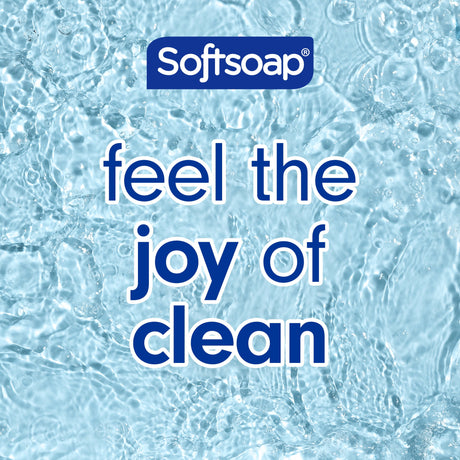 Softsoap Energizing Body Wash- Kenya - Kenya