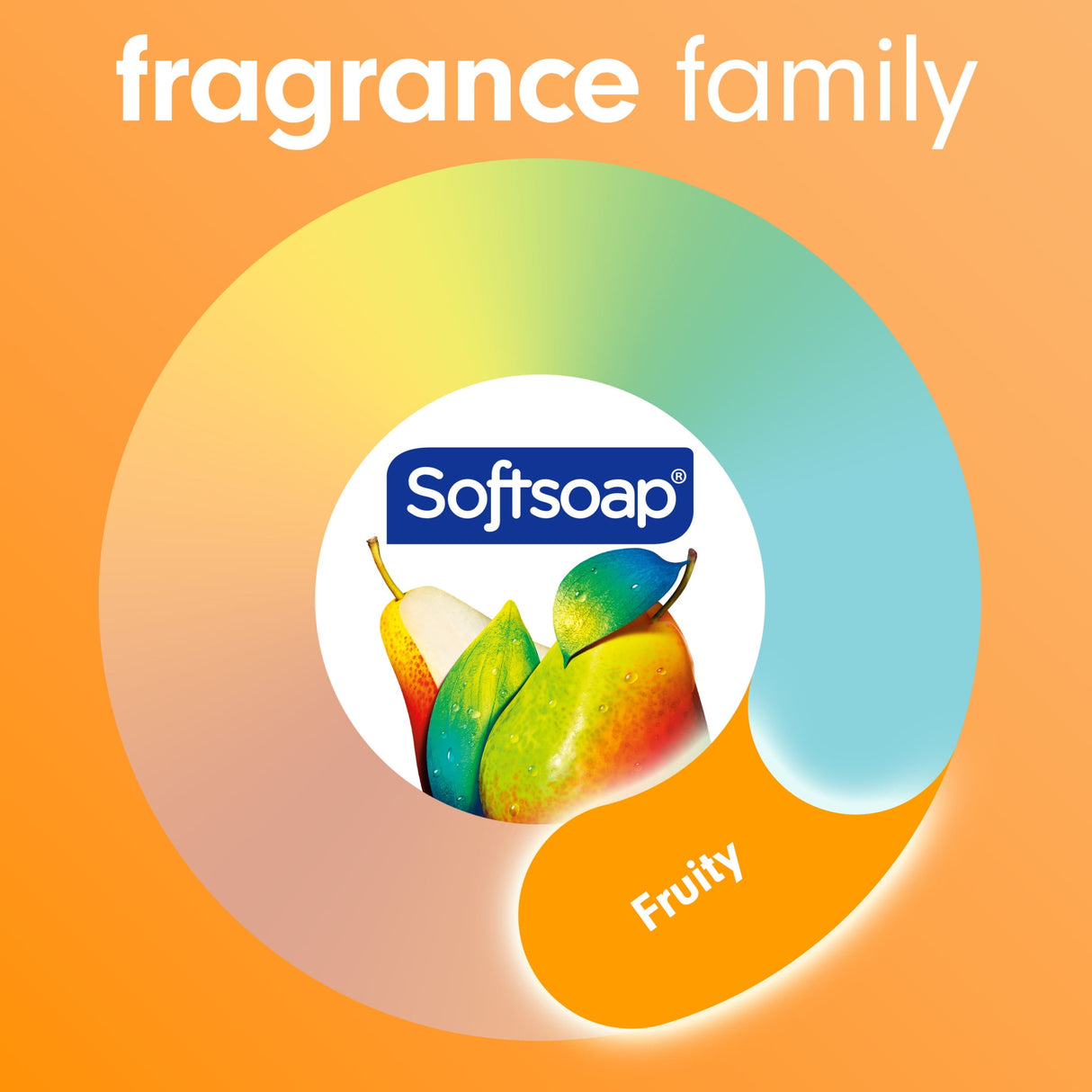 Softsoap Energizing Body Wash- Kenya - Kenya
