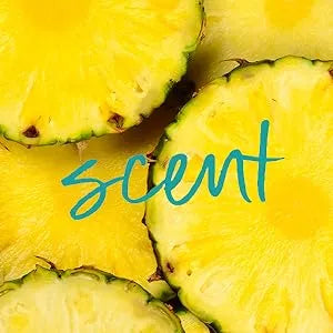 Tree Hut Pineapple Shea Sugar Scrub - Kenya