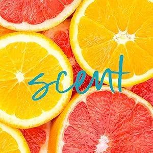 Tree Hut Vitamin C Shea Sugar Scrub - Kenya