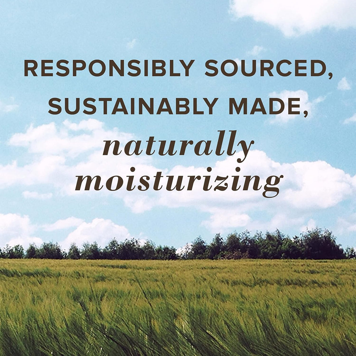 Burt's Bees Lip Balm, Moisturizing Beeswax with Vitamin E - Kenya