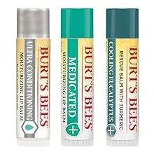 Burt's Bees Lip Balm, Moisturizing Lip Care, SuperFruit (4-Pack) - Kenya