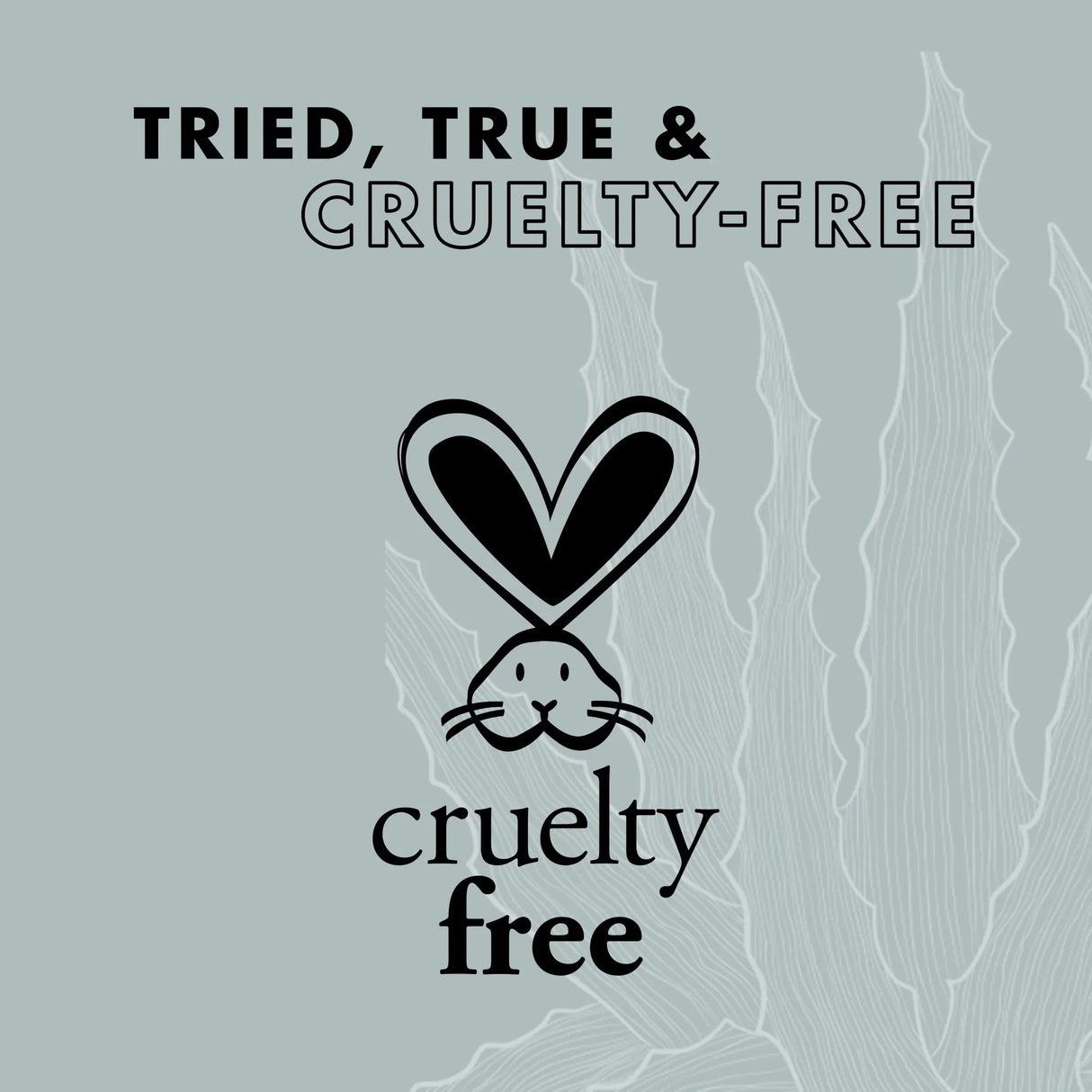 SheaMoisture Bar Soap African Black Soap 8 oz - Kenya