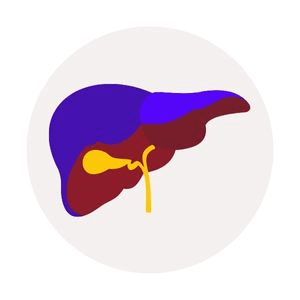 Liver Detox & Support - Western Cosmetics Kenya