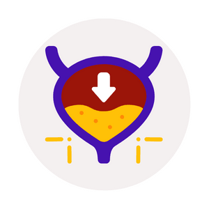 Urinary Health - Kenya