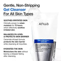 ANUA Moisturizing Gentle Gel Cleanser image 3