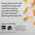 Sports Research Evening Primrose - price in Kenya