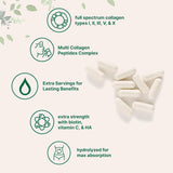 Micro Ingredients Multi Collagen  240 Capsules
