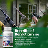 VHC Vitamin B1 Benfotiamine 600mg Supplement