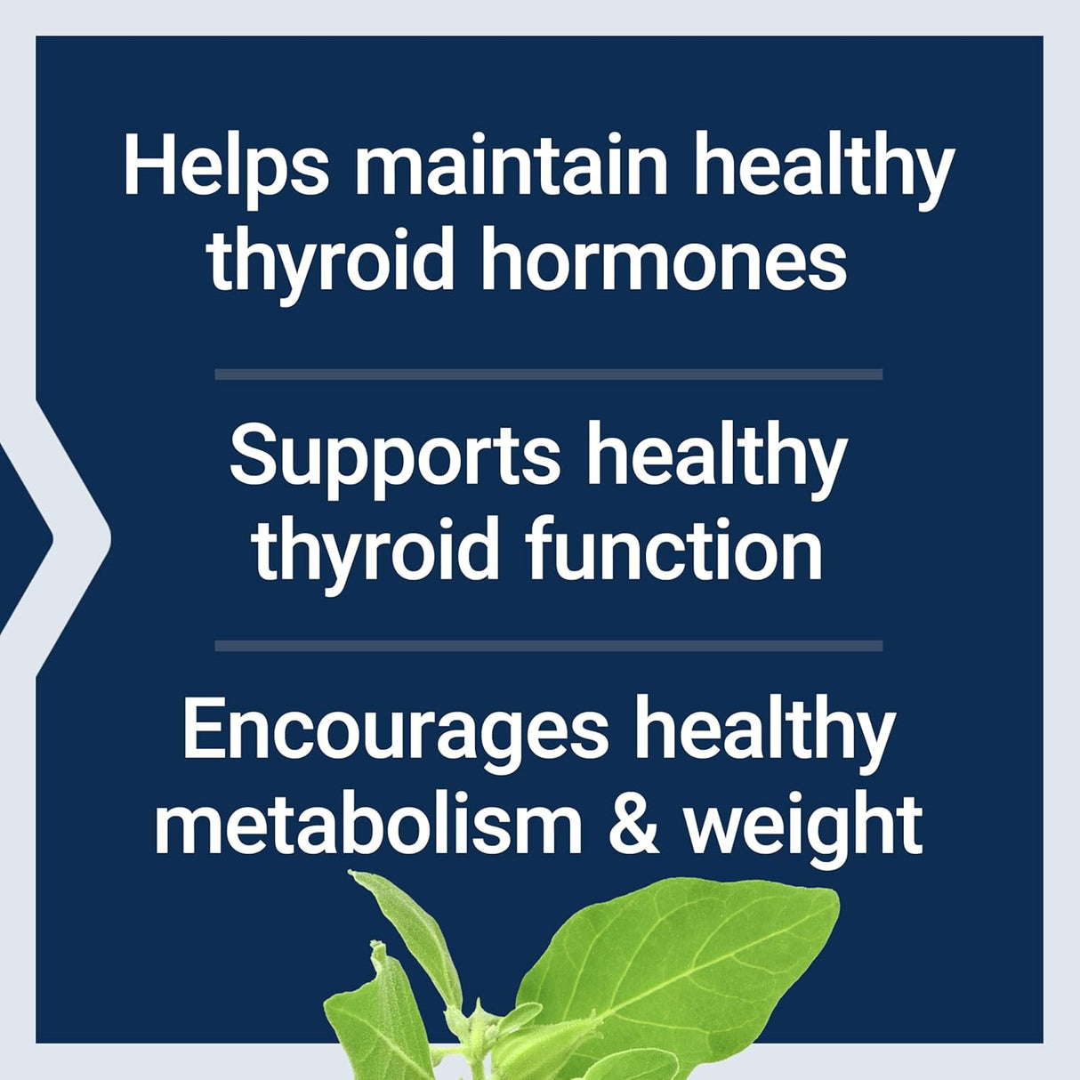 Life Extension Thyroid Support Complex