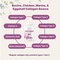 Micro Ingredients Multi Collagen  240 Capsules image 7