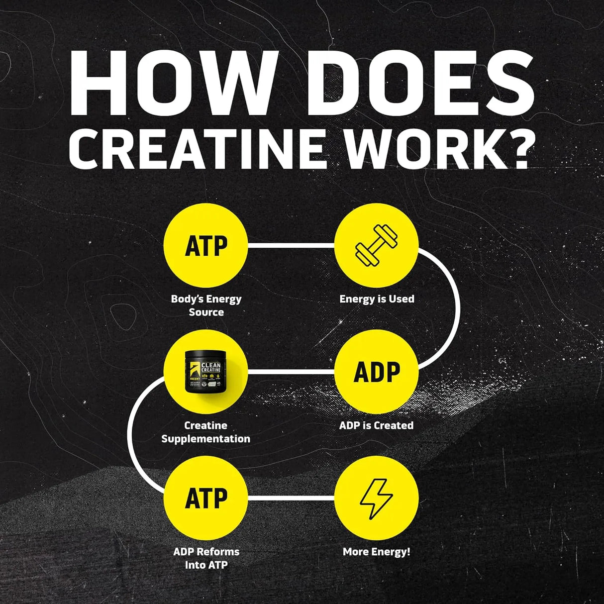 Ascent Clean Creatine Monohydrate Powder - Kenya