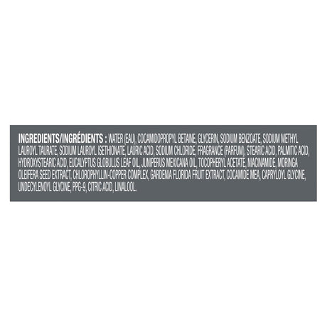 DOVE MEN + CARE Eucalyptus + Cedar Oil Body Wash- Kenya - Kenya