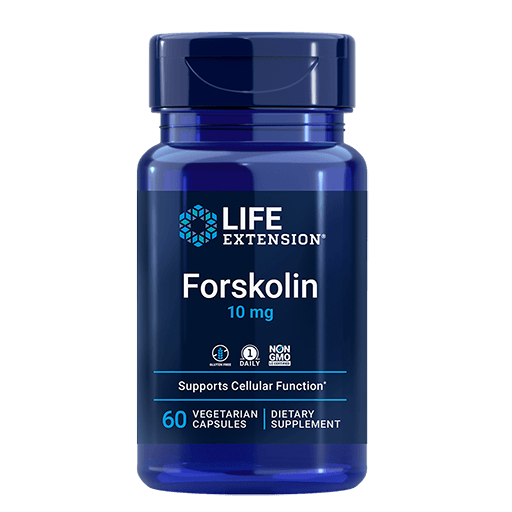 Forskolin - Kenya