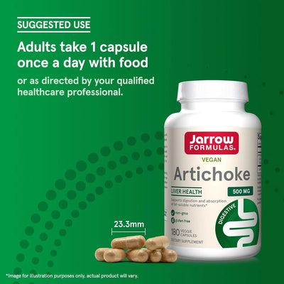 Jarrow Artichoke - view 6