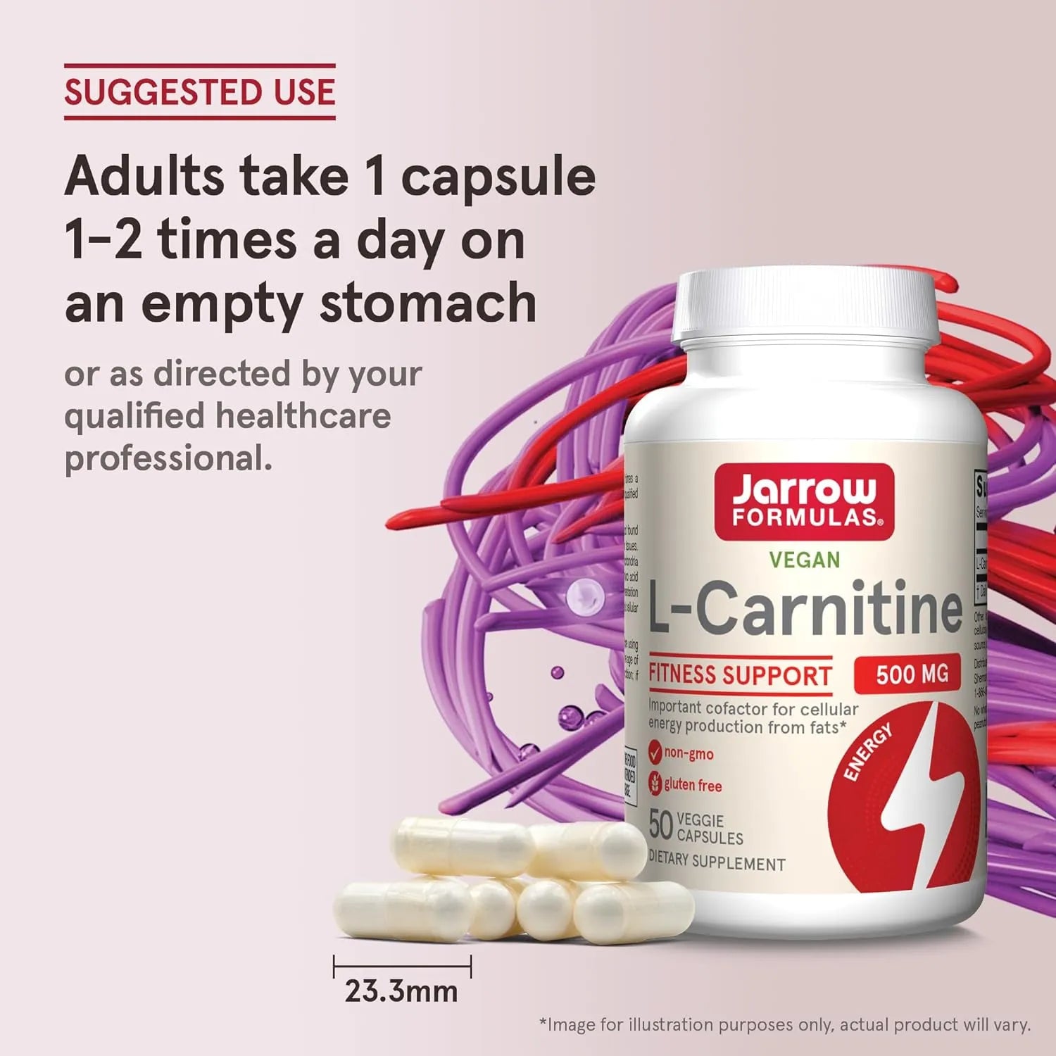 jarrow acetyl l carnitine Formulas L-Carnitine Capsules - 500 mg Jarrow Formulas Acetyl L-Carnitine 500Mg