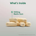 Jarrow Mastic Gum image 4
