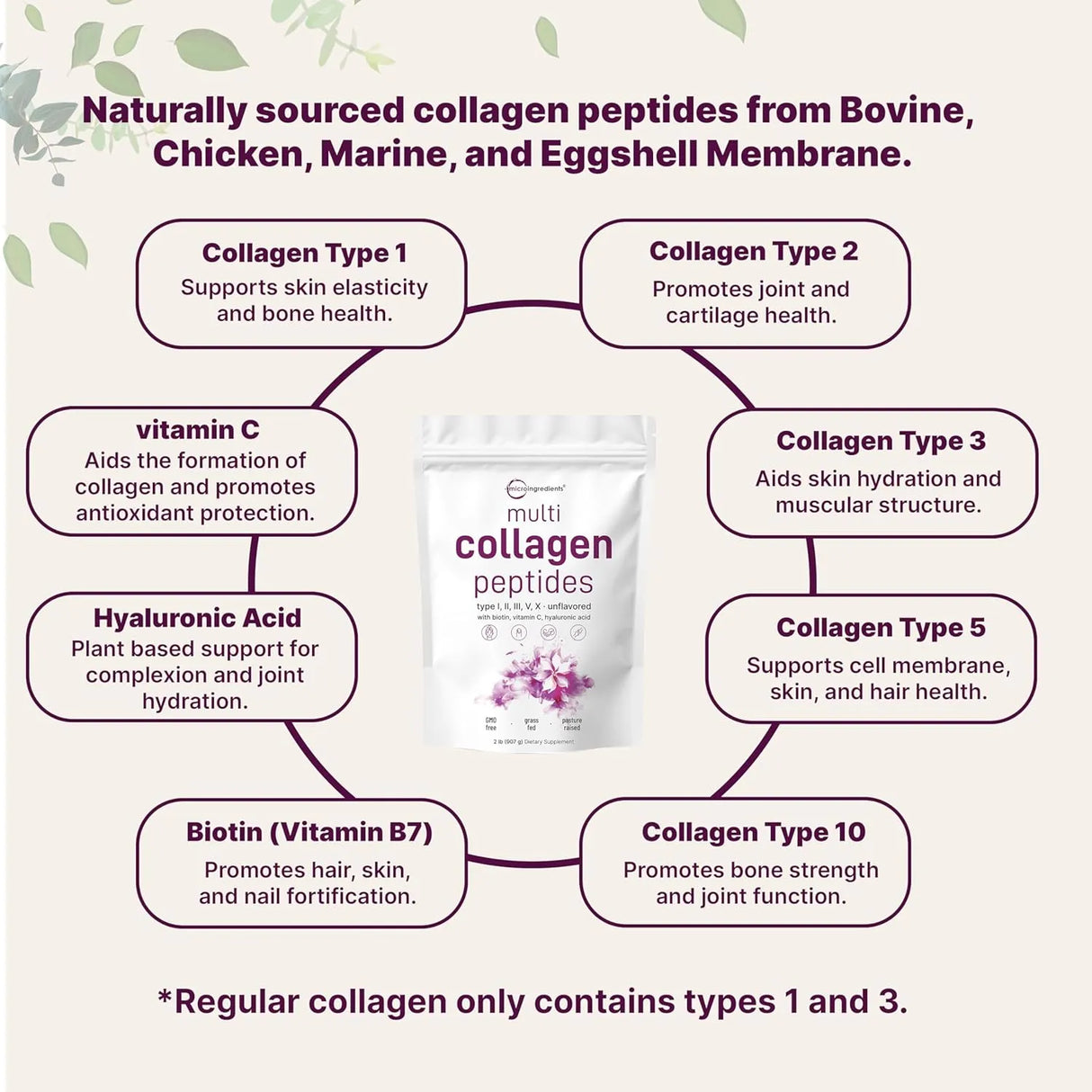 Multi Collagen Peptides Powder, Hydrolyzed Protein Peptides - Kenya