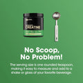 Optimum Nutrition Micronized Creatine Monohydrate Powder Unflavored image 7