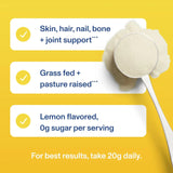 Vital Proteins Collagen Peptides Powder Vanilla - Kenya