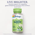 Yarrow Flowers Supplement image 3