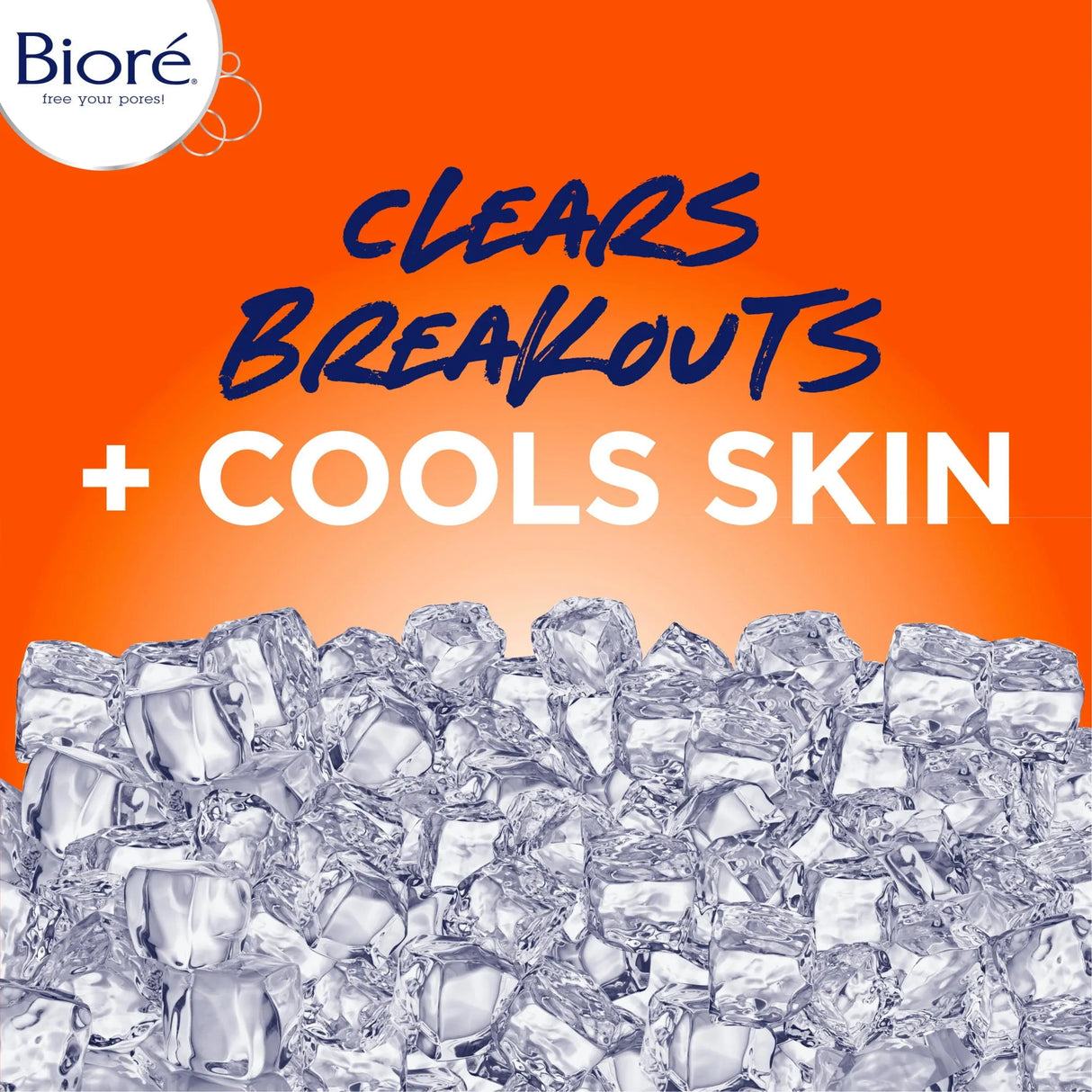 Biore 2% Salicylic Acid Blemish-Fighting Ice Cleanser Acne Treatment - Kenya