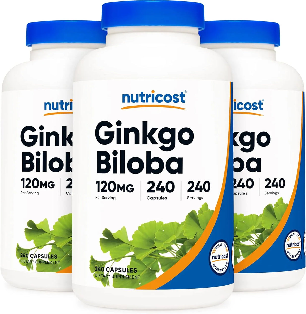 Ginkgo Biloba 120mg, 240 Capsules - Extra Strength Ginkgo Biloba Extract - Kenya