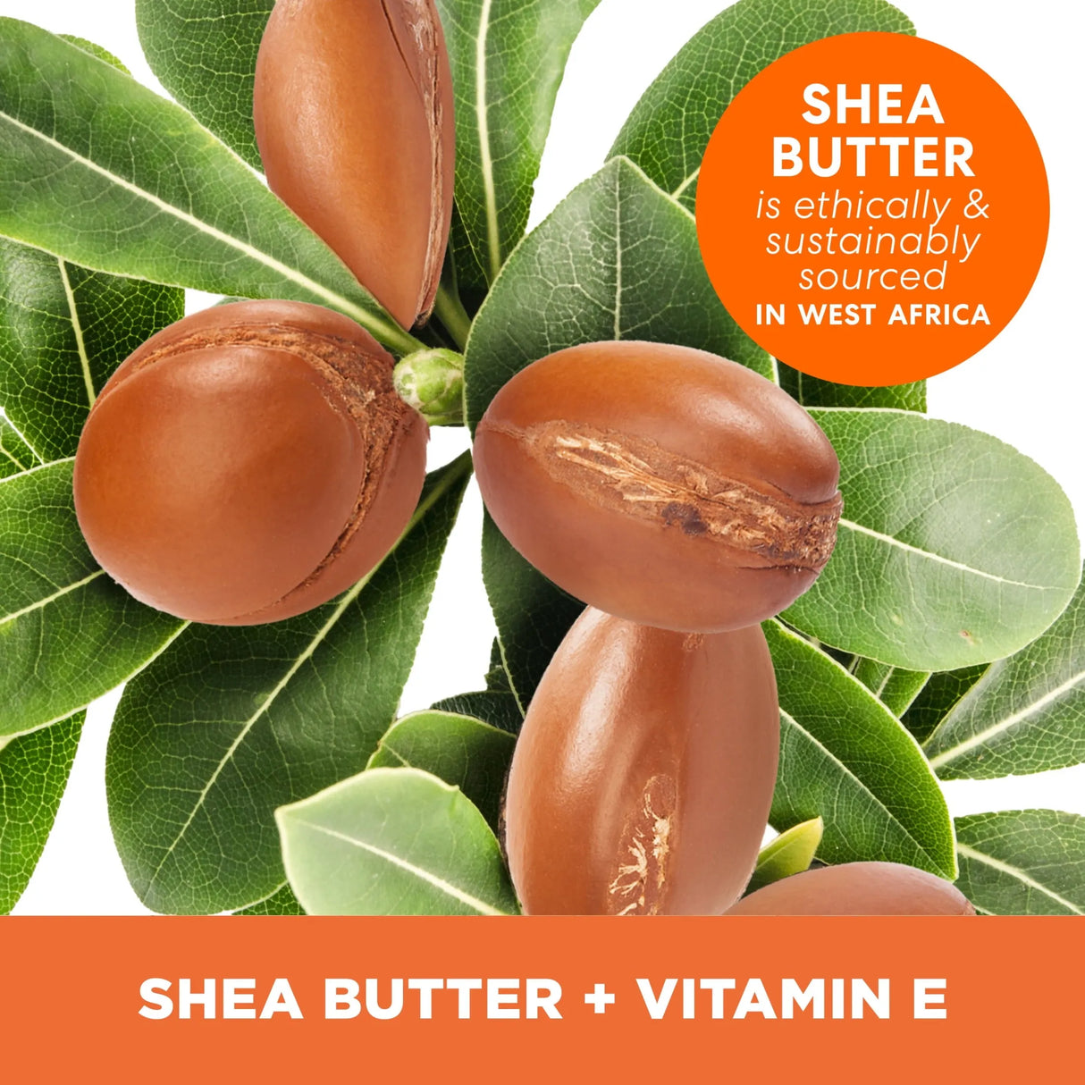 Palmer's Shea Butter Formula Nourishing Body Lotion - Kenya